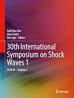 Télécharger le livre :  30th International Symposium on Shock Waves 1