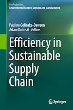 Télécharger le livre :  Efficiency in Sustainable Supply Chain