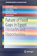 Télécharger le livre :  Future of Food Gaps in Egypt
