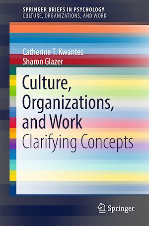 Téléchargez le livre :  Culture, Organizations, and Work