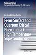 Télécharger le livre :  Fermi Surface and Quantum Critical Phenomena of High-Temperature Superconductors