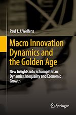 Télécharger le livre :  Macro Innovation Dynamics and the Golden Age