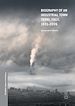 Télécharger le livre :  Biography of an Industrial Town