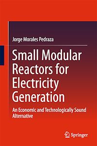 Téléchargez le livre :  Small Modular Reactors for Electricity Generation