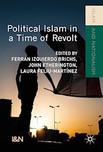 Télécharger le livre :  Political Islam in a Time of Revolt