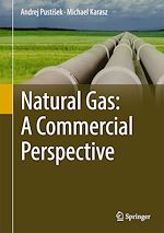 Télécharger le livre :  Natural Gas: A Commercial Perspective