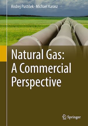 Téléchargez le livre :  Natural Gas: A Commercial Perspective
