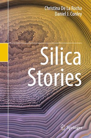 Téléchargez le livre :  Silica Stories