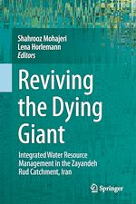 Télécharger le livre :  Reviving the Dying Giant