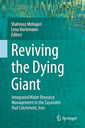 Téléchargez le livre :  Reviving the Dying Giant