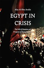 Télécharger le livre :  Egypt in Crisis