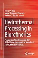 Télécharger le livre :  Hydrothermal Processing in Biorefineries
