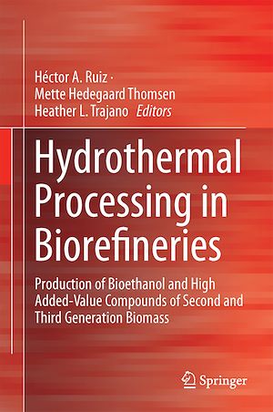 Téléchargez le livre :  Hydrothermal Processing in Biorefineries