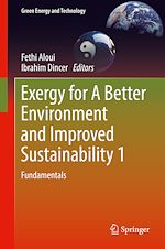 Télécharger le livre :  Exergy for A Better Environment and Improved Sustainability 1