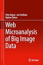 Télécharger le livre :  Web Microanalysis of Big Image Data