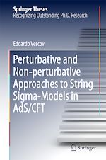 Télécharger le livre :  Perturbative and Non-perturbative Approaches to String Sigma-Models in AdS/CFT