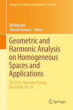 Télécharger le livre :  Geometric and Harmonic Analysis on Homogeneous Spaces and Applications