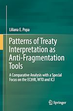 Télécharger le livre :  Patterns of Treaty Interpretation as Anti-Fragmentation Tools