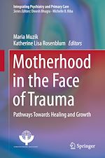 Télécharger le livre :  Motherhood in the Face of Trauma