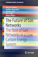 Download this eBook The Future of Gas Networks