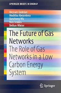 Télécharger le livre :  The Future of Gas Networks