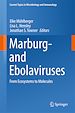 Télécharger le livre :  Marburg- and Ebolaviruses