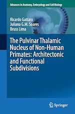 Télécharger le livre :  The Pulvinar Thalamic Nucleus of Non-Human Primates: Architectonic and Functional Subdivisions