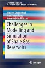 Télécharger le livre :  Challenges in Modelling and Simulation of Shale Gas Reservoirs