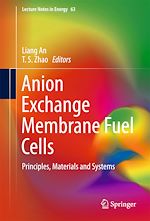 Download this eBook Anion Exchange Membrane Fuel Cells