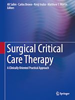 Télécharger le livre :  Surgical Critical Care Therapy