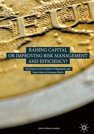 Téléchargez le livre :  Raising Capital or Improving Risk Management and Efficiency?