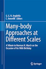 Télécharger le livre :  Many-body Approaches at Different Scales