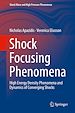 Télécharger le livre :  Shock Focusing Phenomena