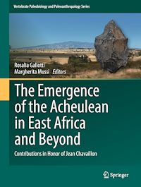 Télécharger le livre :  The Emergence of the Acheulean in East Africa and Beyond