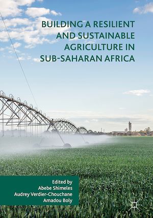 Téléchargez le livre :  Building a Resilient and Sustainable Agriculture in Sub-Saharan Africa