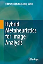 Télécharger le livre :  Hybrid Metaheuristics for Image Analysis