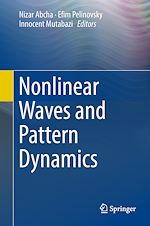 Télécharger le livre :  Nonlinear Waves and Pattern Dynamics