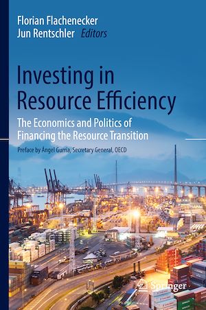 Téléchargez le livre :  Investing in Resource Efficiency