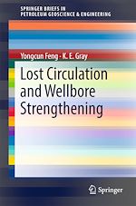 Télécharger le livre :  Lost Circulation and Wellbore Strengthening