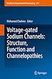 Télécharger le livre :  Voltage-gated Sodium Channels: Structure, Function and Channelopathies