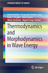 Télécharger le livre :  Thermodynamics and Morphodynamics in Wave Energy