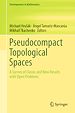 Télécharger le livre :  Pseudocompact Topological Spaces
