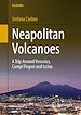 Télécharger le livre :  Neapolitan Volcanoes