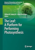 Télécharger le livre :  The Leaf: A Platform for Performing Photosynthesis