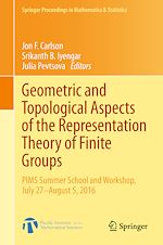 Télécharger le livre :  Geometric and Topological Aspects of the Representation Theory of Finite Groups