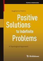 Télécharger le livre :  Positive Solutions to Indefinite Problems