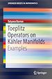 Télécharger le livre :  Toeplitz Operators on Kähler Manifolds