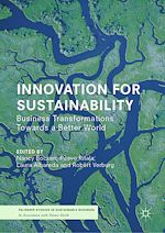 Télécharger le livre :  Innovation for Sustainability