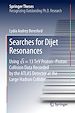 Télécharger le livre :  Searches for Dijet Resonances