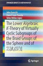 Télécharger le livre :  The Lower Algebraic K-Theory of Virtually Cyclic Subgroups of the Braid Groups of the Sphere and of ZB4(S2)